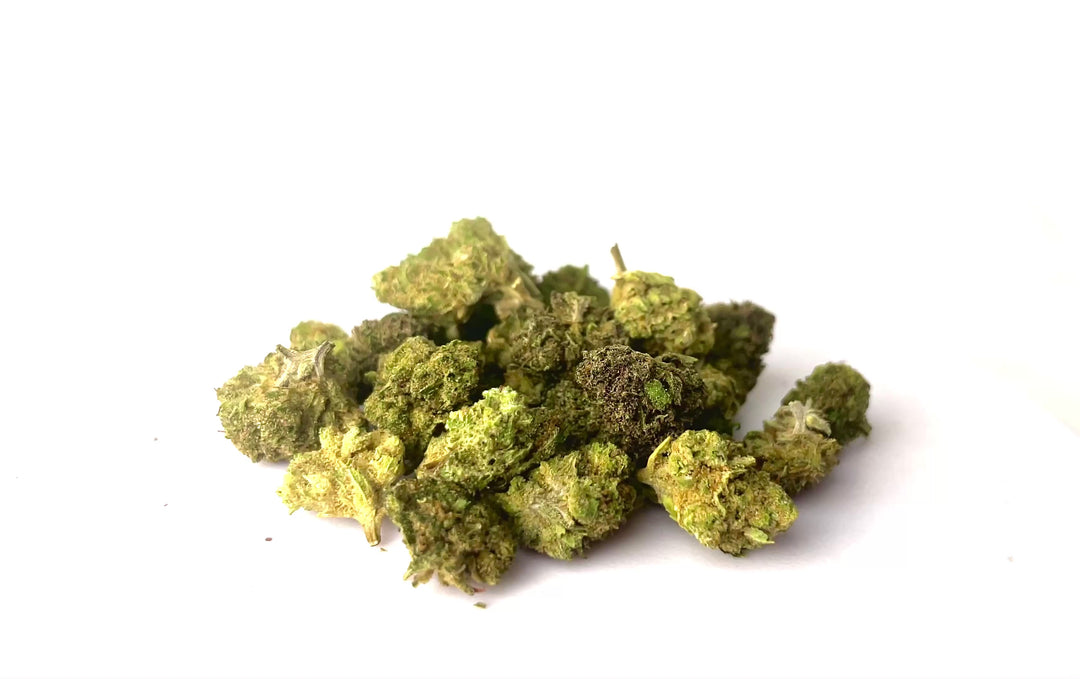 Rainbow - CBD 21% | Cannabis Light | Coltivazione mista - Bongae 